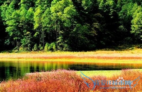 大理云中天池 旅游攻略