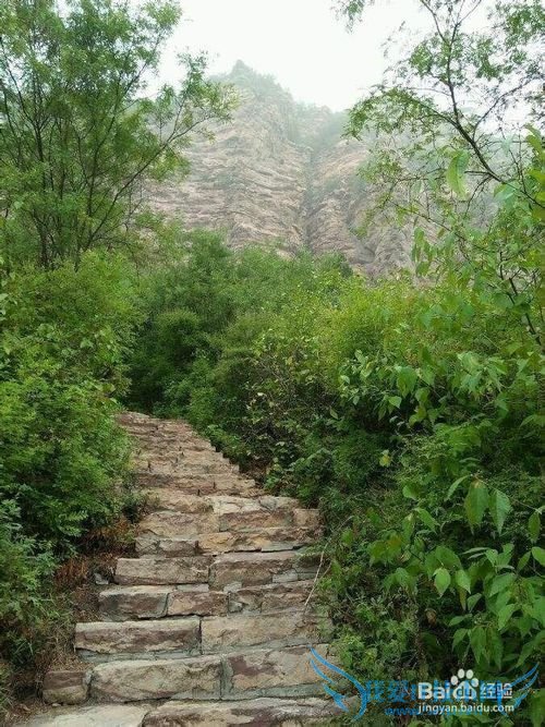 外出旅游注意那些陷阱