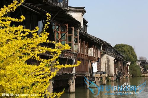 乌镇旅游攻略_乌镇好玩吗_乌镇怎么样