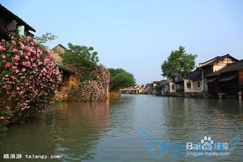 乌镇旅游攻略_乌镇好玩吗_乌镇怎么样