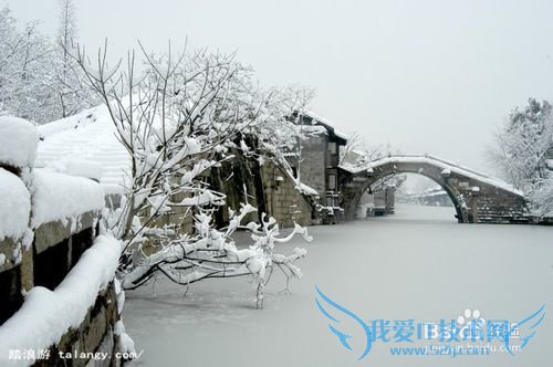 乌镇旅游攻略_乌镇好玩吗_乌镇怎么样