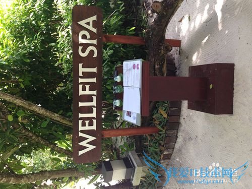 马尔代夫鲁滨逊岛游记