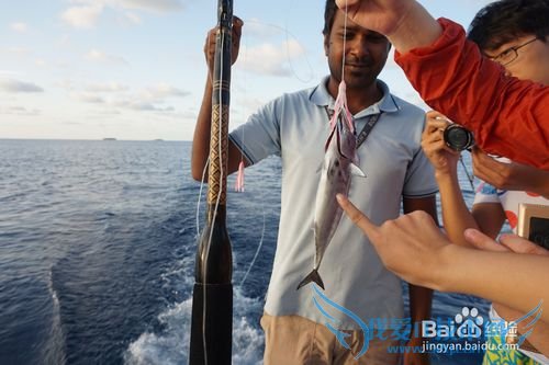 马尔代夫鲁滨逊岛游记