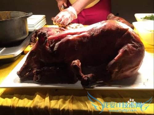 马尔代夫鲁滨逊岛游记