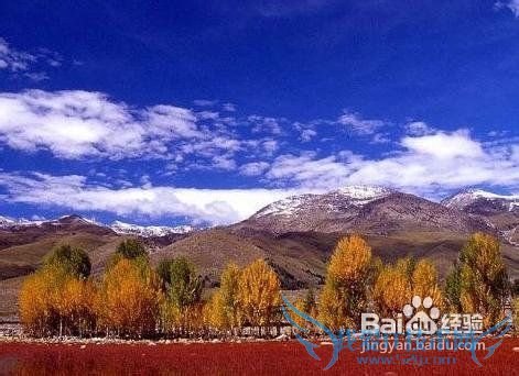 °´Ô·ÝÈ¥ÂÃÓÎÄãÖªµÀ¶àÉÙ