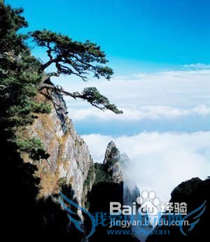 °´Ô·ÝÈ¥ÂÃÓÎÄãÖªµÀ¶àÉÙ