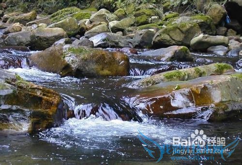 °´Ô·ÝÈ¥ÂÃÓÎÄãÖªµÀ¶àÉÙ