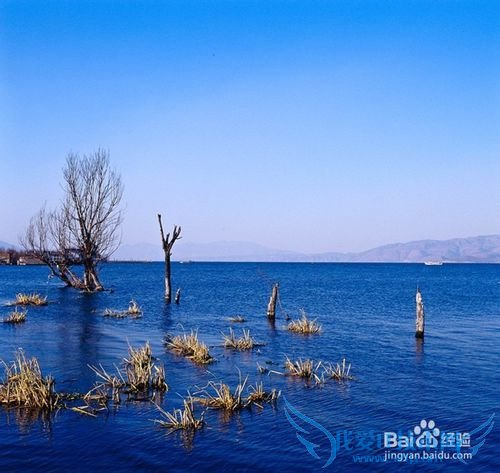 云南大理双廊住宿
