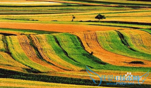 中国66 号公路自驾游全攻略