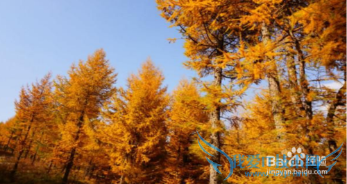 中国66 号公路自驾游全攻略