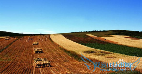 中国66 号公路自驾游全攻略