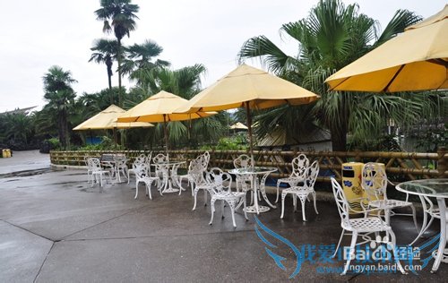 五一出游带什么食物好?