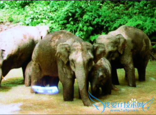 ÔÆÄÏÓÐÄÄЩÂÃÓξ°µã