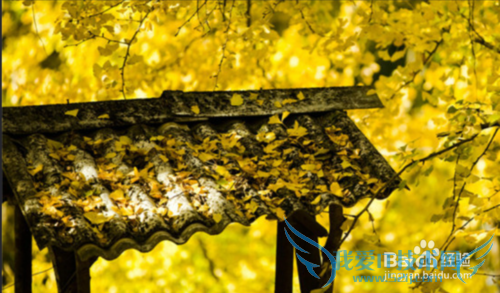 ÔÆÄÏÓÐÄÄЩÂÃÓξ°µã