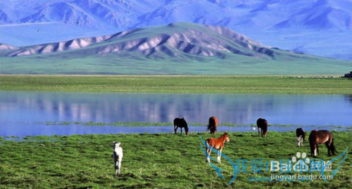 ÔÆÄÏÓÐÄÄЩÂÃÓξ°µã