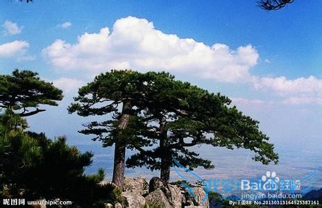 泰山的最轻松的旅游线路