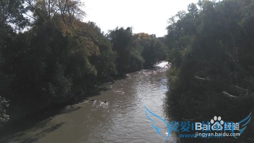 墨西哥旅游攻略八:帕丘卡、图拉