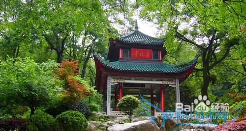 5月份去哪里旅游最好