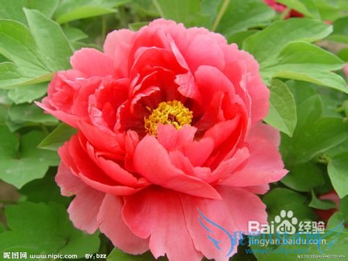 5月份去哪里旅游最好