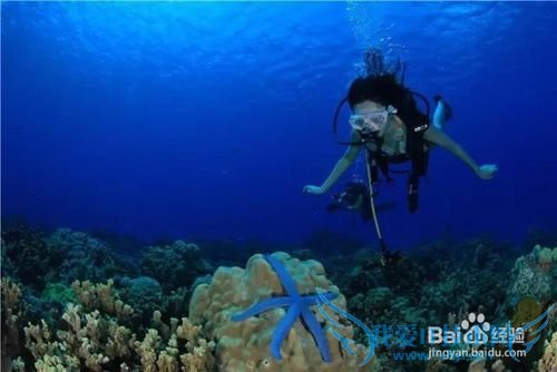 塞班岛皇家国际旅游经验分享