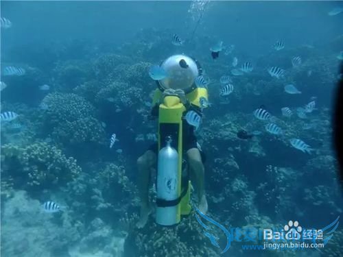 塞班岛皇家国际旅游经验分享