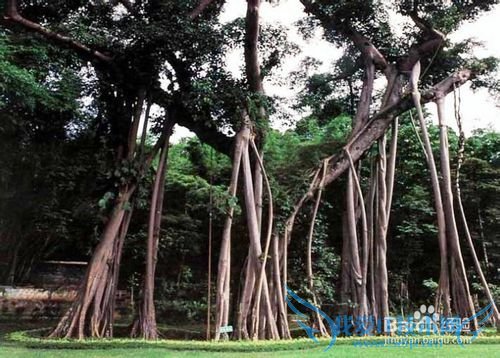 西双版纳旅游攻略