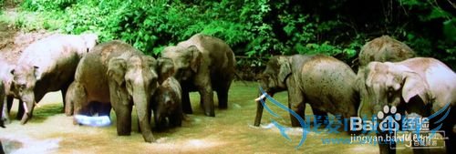 西双版纳旅游攻略