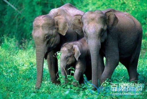 西双版纳旅游攻略