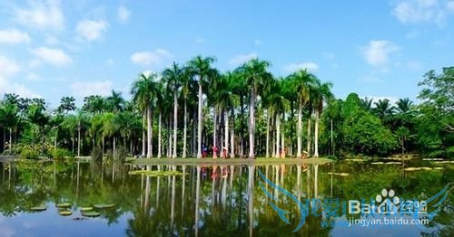 西双版纳旅游攻略