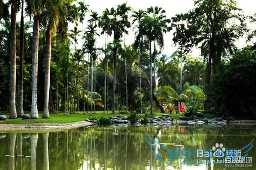 西双版纳旅游攻略