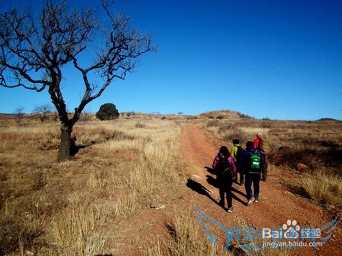 老年人外出旅游的衣食住行