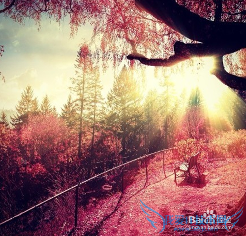 老年人外出旅游的衣食住行