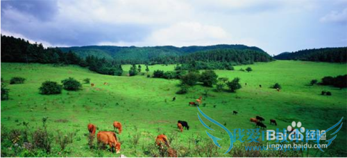 Å̵ãÖØÇìÖܱßÖµµÃÈ¥ÂÃÓεÄɽ¡£