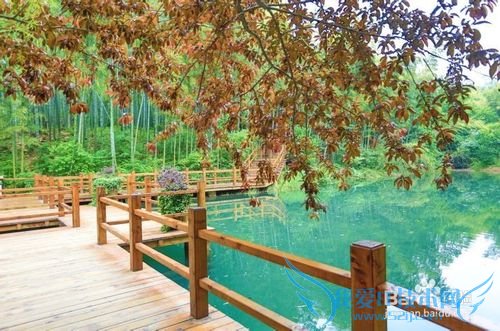 上海自驾到常州溧阳南山竹海景区旅游攻略