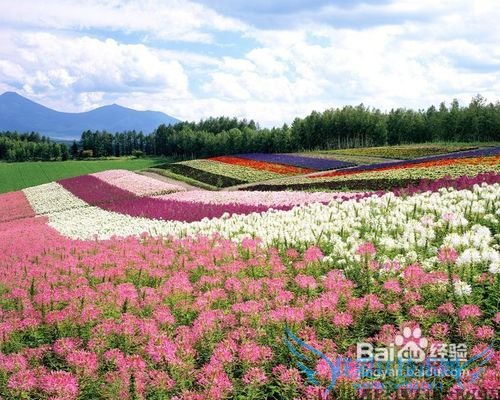 北京到云南旅游小结: