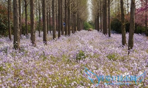 郑州到日照旅游:火车3日游攻略