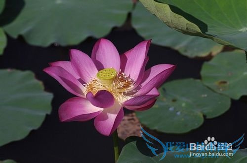 郑州到日照旅游:火车3日游攻略