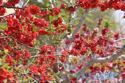 大连旅游实用攻略