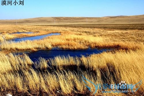 2015漠河小刘包车推荐旅游线路