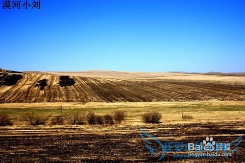 2015漠河小刘包车推荐旅游线路