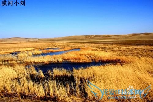 2015漠河小刘包车推荐旅游线路