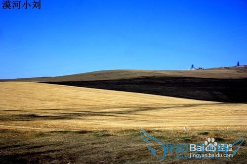 2015漠河小刘包车推荐旅游线路