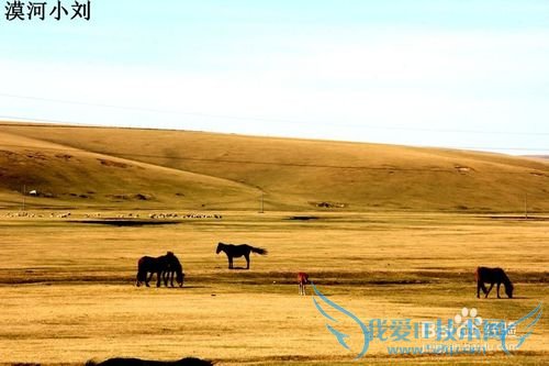 2015漠河小刘包车推荐旅游线路