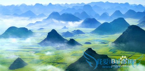 云南罗平油菜花节旅游攻略