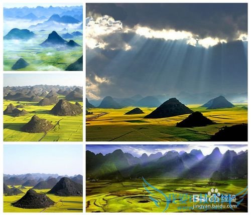 云南罗平油菜花节旅游攻略