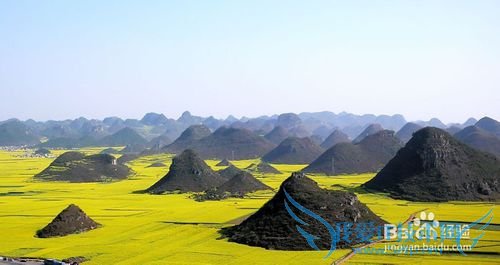 云南罗平油菜花节旅游攻略