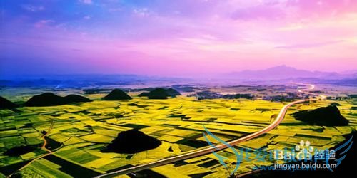 云南罗平油菜花节旅游攻略