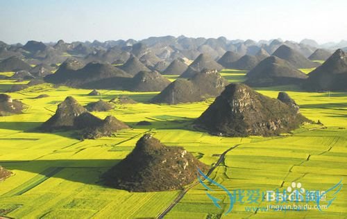 云南罗平油菜花节旅游攻略