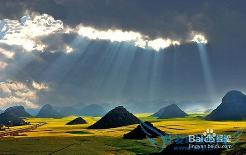 云南罗平油菜花节旅游攻略