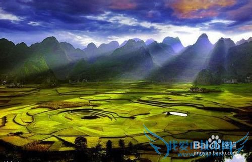 云南罗平油菜花节旅游攻略